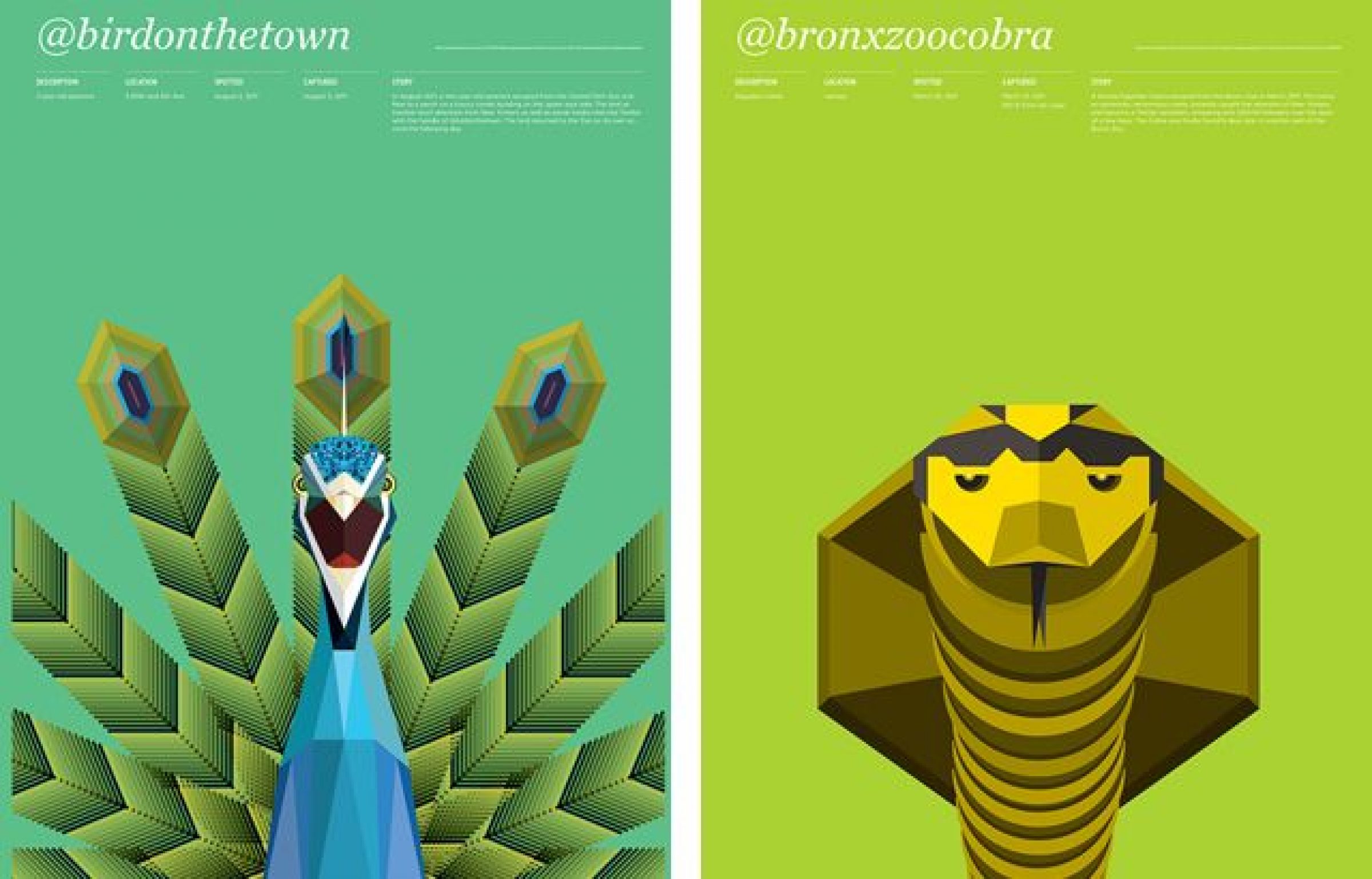 Animal Infographic Posters | Thomas Wilder - Arch2O.com