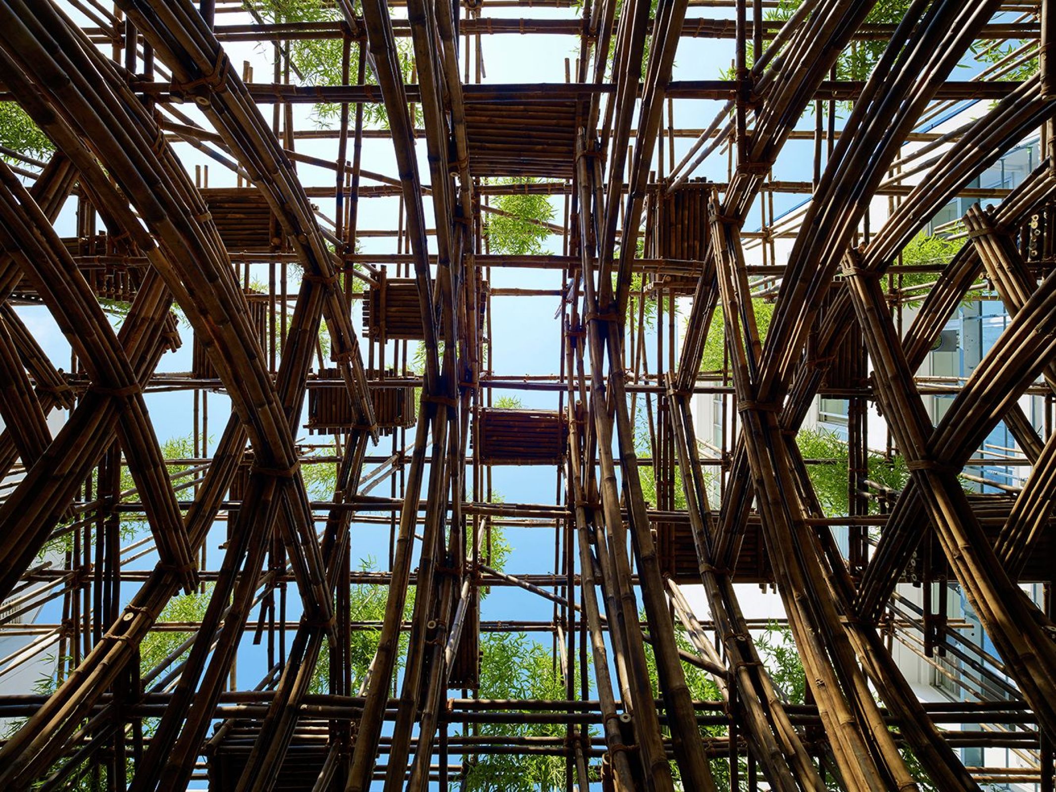 Bamboo Forest Vo Trong Nghia Architects Vtn Architects