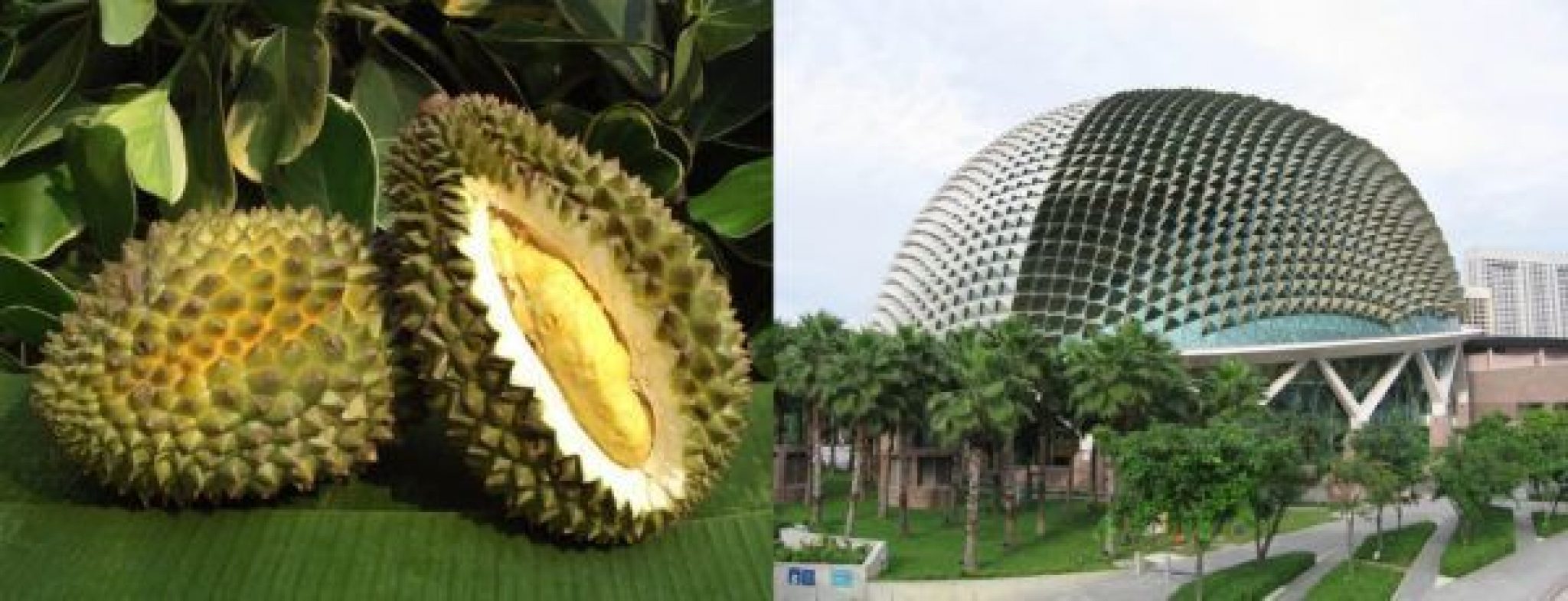 How Biomimicry Enhances Creativity In Architecture - Arch2O.com