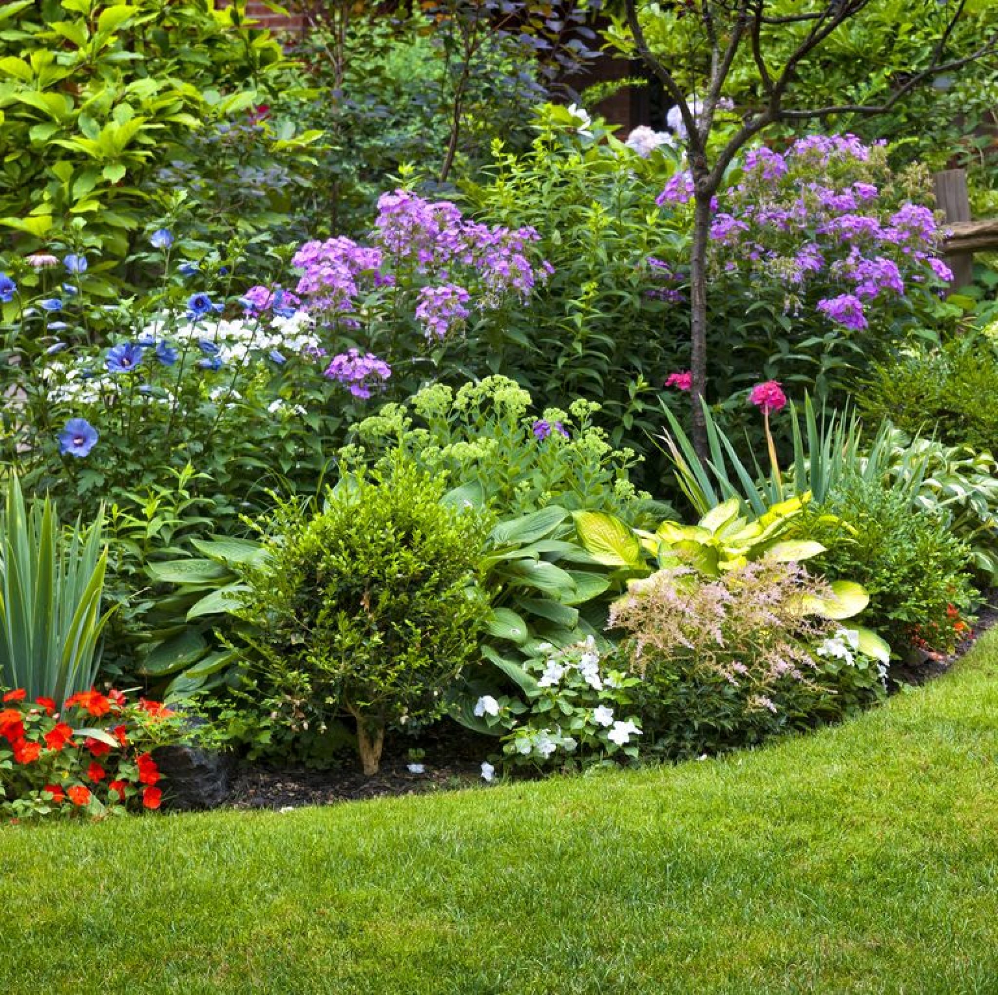 10 Landscaping Mistakes Ruining Your Garden And How To Avoid Them 