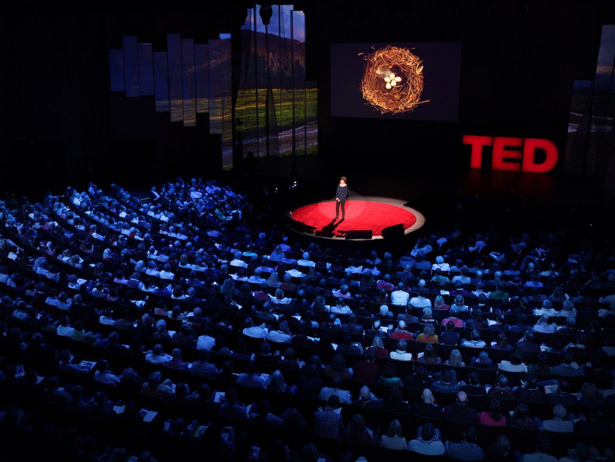 Лучшие выступления видео. Тед конференция. Спикеры Ted конференции. Тэд сцена. Ted сцена.