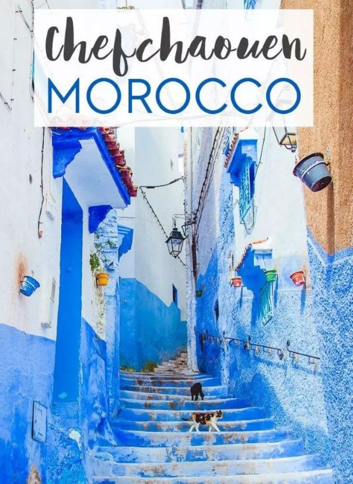 Why The City Of Chefchaouen In Morocco Is Entirely Blue Arch2o Com