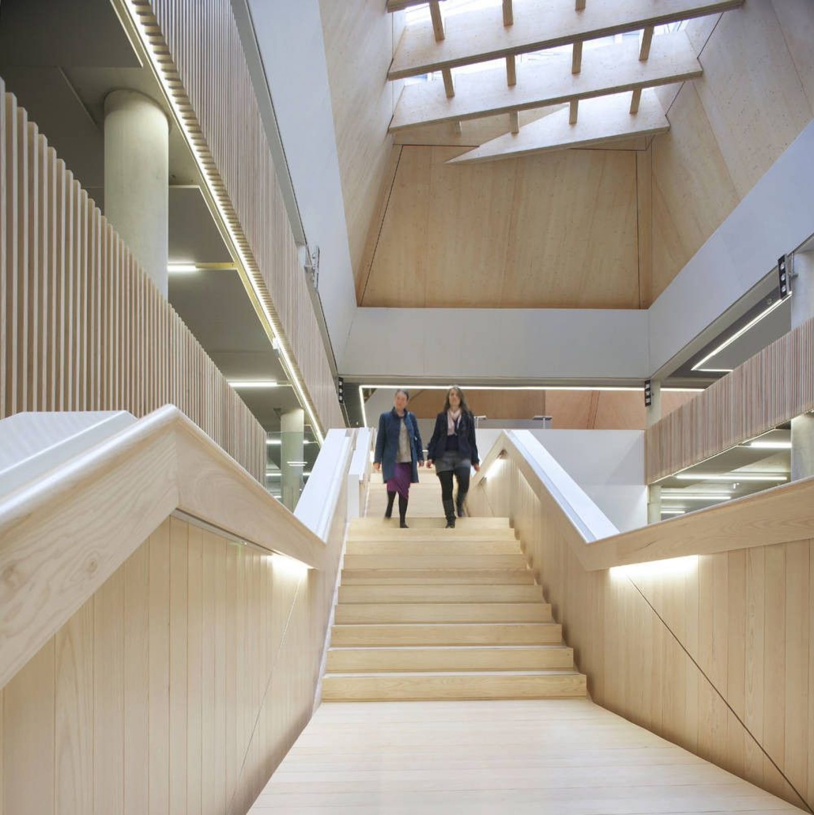 The Hive, Worcester Library | Feilden Clegg Bradley Studios - Arch2O.com