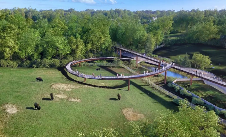 Minnesota Zoo Celebrates Milestone: Treetop Trail Opens as the World's