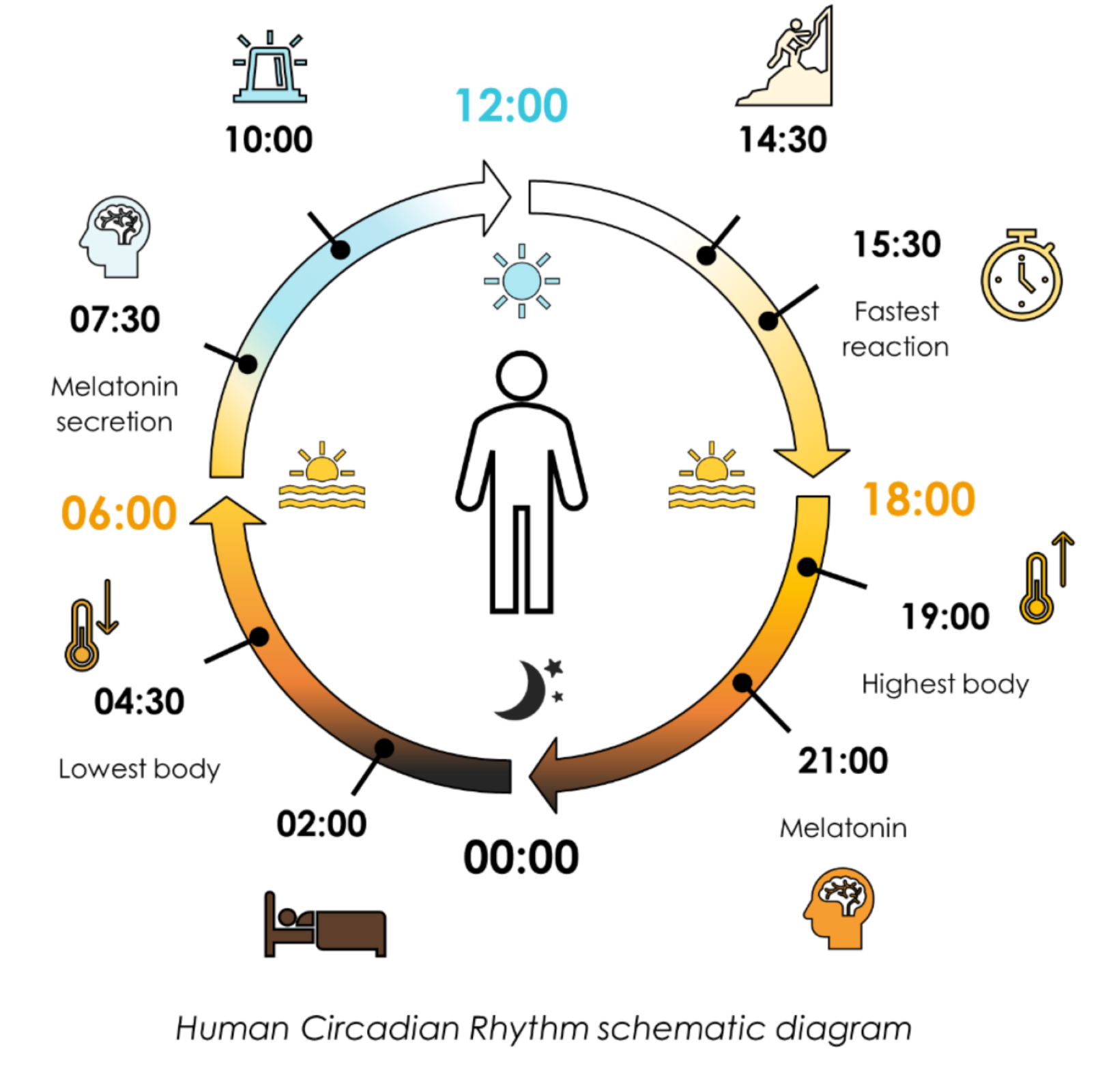 Shining a Light on Humanity: How Human Centric Lighting Enhances Well ...