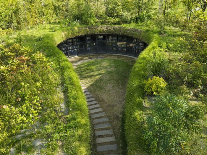 Library in the Earth