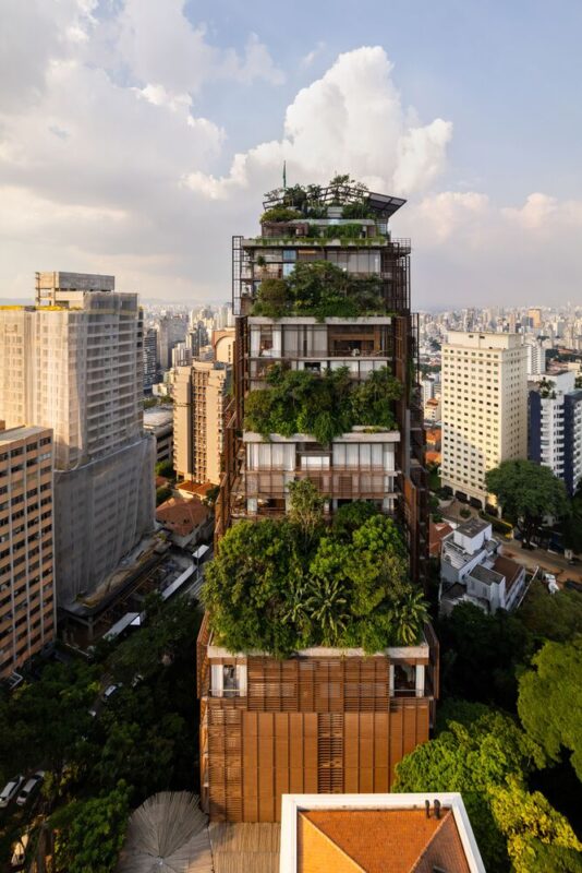 Torre Mata Atlântica