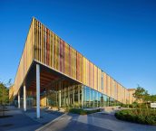 Albion Library | Perkins+Will