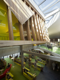 Bendigo Library | MGS Architects