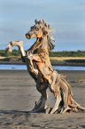 Driftwood Sculptures 2 | Jeff Uitto