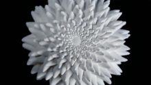 Fibonacci zoetrope sculpture |  John Edmark