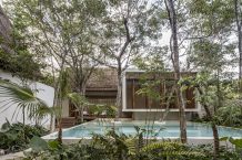 Jungle Keva | Jaquestudio