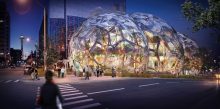 Nature Meets Workplace: A Peek into Amazon’s New Spheres