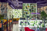 Trianglo Lounge Bar | Maden Group