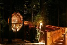 Yellow Treehouse Restaurant | Pacific Environments